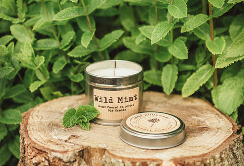 Wild Mint Artisan Soy Candle