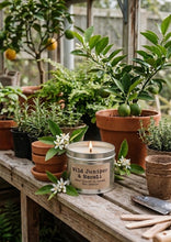 Load image into Gallery viewer, Wild Juniper &amp; Neroli Artisan Soy Candle