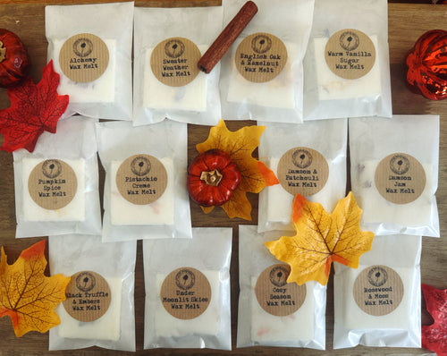 Large Autumn Wax Melt Sample Collection